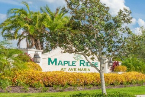 Villa ou maison à louer à Ave Maria, Floride: 3 chambres, 160.35 m2 № 1962523 - photo 18