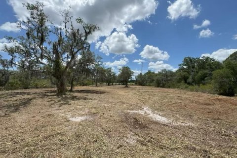 Land in Frostproof, Florida № 2218053 - photo 4