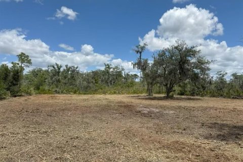Land in Frostproof, Florida № 2218053