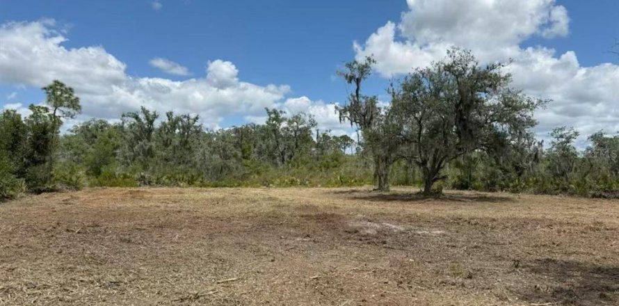 Land in Frostproof, Florida № 2218053