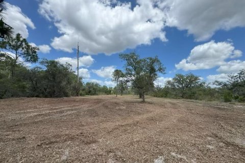 Land in Frostproof, Florida № 2218053 - photo 2