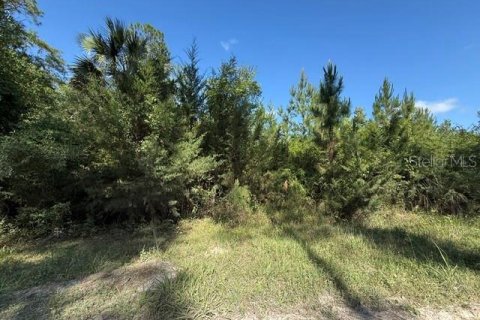 Land in Bunnell, Florida № 2360461