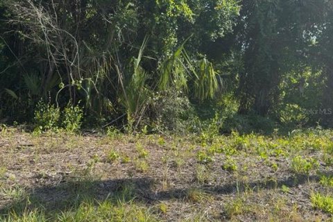 Terreno en Georgetown, Florida № 2164417