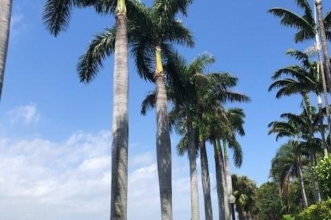 Condominio en alquiler en Palm Beach, Florida, 1 dormitorio, 25.18 m2 № 950147 - foto 1