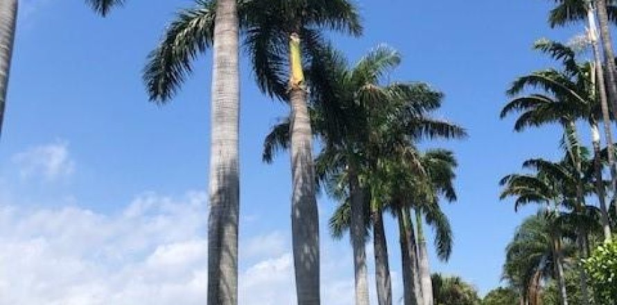 Condominio en Palm Beach, Florida, 1 dormitorio  № 950147