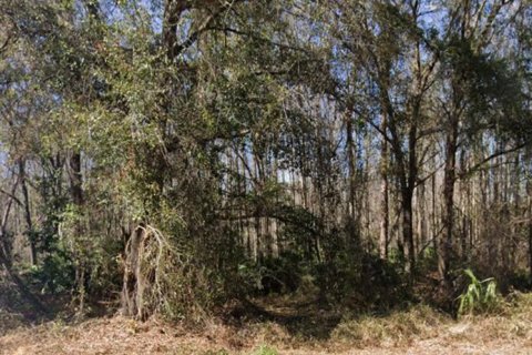 Land in New Port Richey, Florida № 2214999 - photo 3