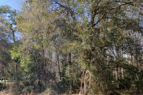 Land in New Port Richey, Florida № 2214999 - photo 2