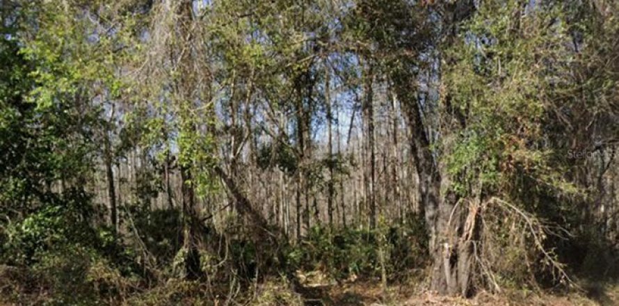 Land in New Port Richey, Florida № 2214999