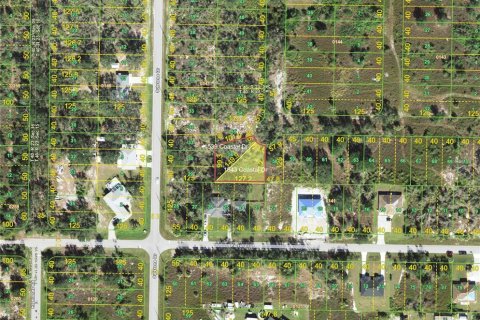Land in Punta Gorda, Florida № 2162090 - photo 2