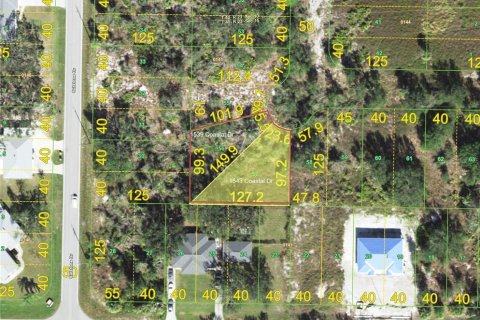 Land in Punta Gorda, Florida № 2162090 - photo 3