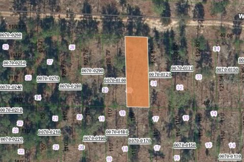 Land in Hawthorne, Florida № 2164932