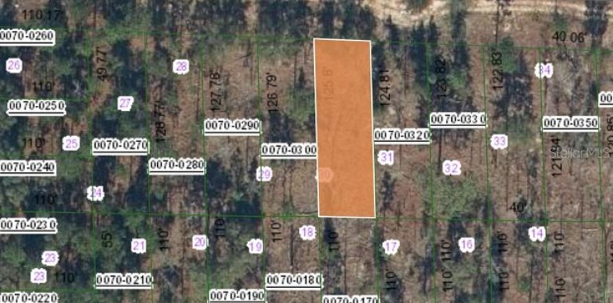 Land in Hawthorne, Florida № 2164932