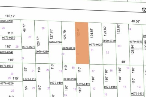 Land in Hawthorne, Florida № 2164932 - photo 3