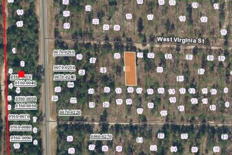Land in Hawthorne, Florida № 2164932 - photo 2