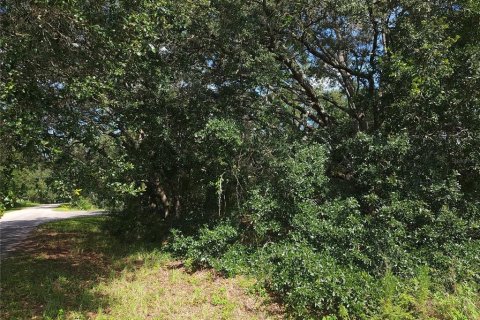 Land in Ocklawaha, Florida № 2164513 - photo 8