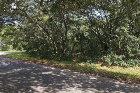 Land in Ocklawaha, Florida № 2164513 - photo 9