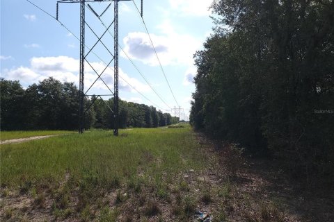 Land in Ocklawaha, Florida № 2164513 - photo 5