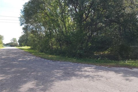 Land in Ocklawaha, Florida № 2164513 - photo 2