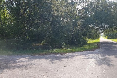 Land in Ocklawaha, Florida № 2164513