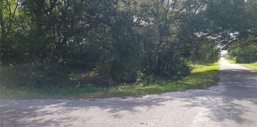 Land in Ocklawaha, Florida № 2164513