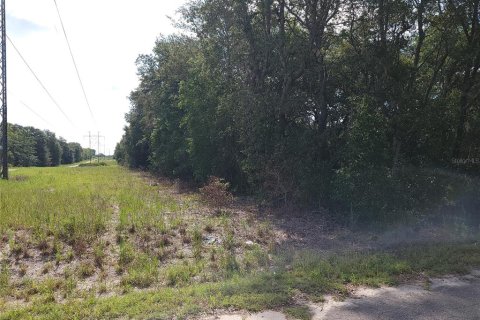 Land in Ocklawaha, Florida № 2164513 - photo 3