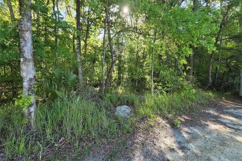Land in Belleview, Florida № 2161319
