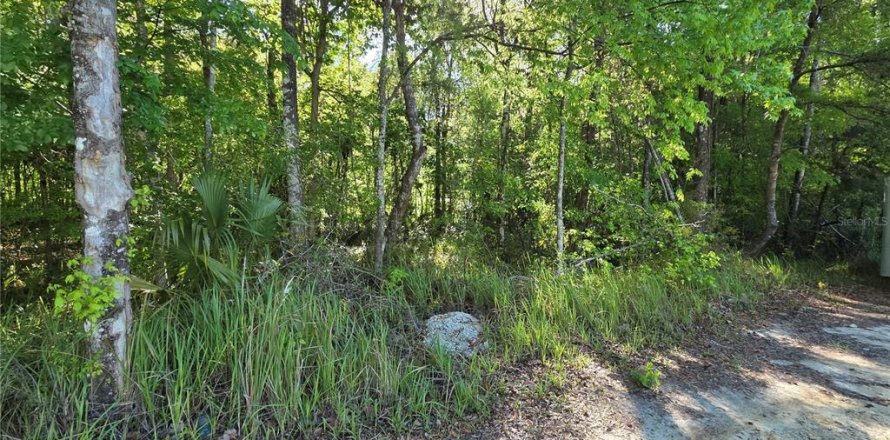 Land in Belleview, Florida № 2161319