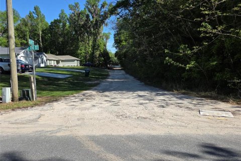 Land in Belleview, Florida № 2161319 - photo 3