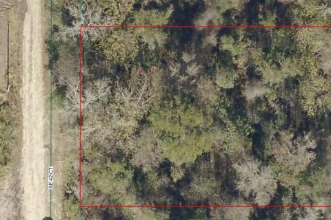Land in Belleview, Florida № 2161319 - photo 4