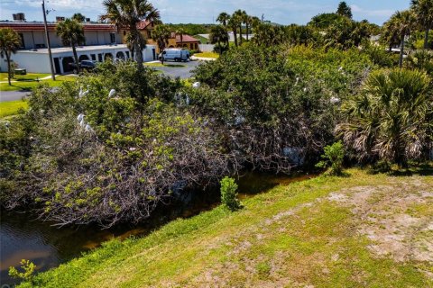 Touwnhouse à vendre à Flagler Beach, Floride: 2 chambres, 110 m2 № 2136734 - photo 22