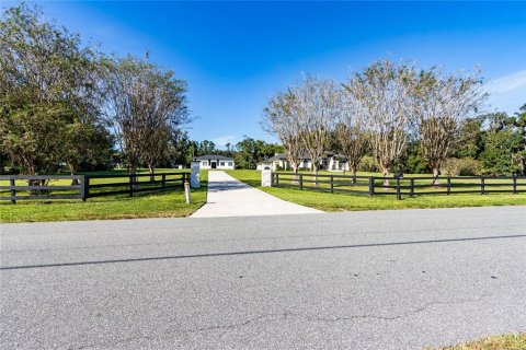 Villa ou maison à vendre à San Antonio, Floride: 5 chambres, 356.37 m2 № 2401045 - photo 13