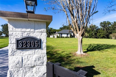 Villa ou maison à vendre à San Antonio, Floride: 5 chambres, 356.37 m2 № 2401045 - photo 9