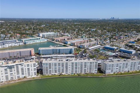 Condo in Gulfport, Florida, 2 bedrooms  № 1724607 - photo 20
