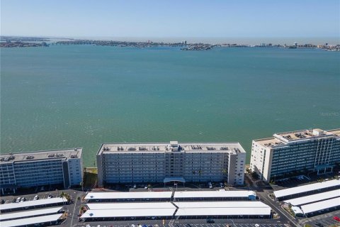 Condo in Gulfport, Florida, 2 bedrooms  № 1724607 - photo 24