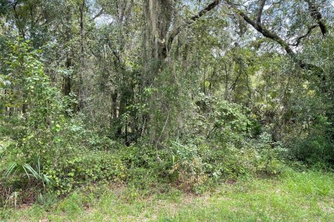 Land in Dunnellon, Florida № 1915048 - photo 12