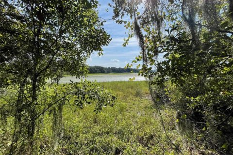 Land in Dunnellon, Florida № 1915048 - photo 3