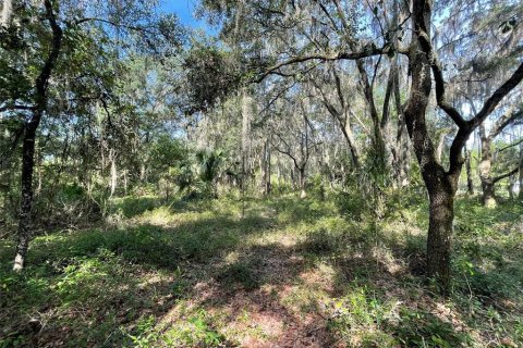 Land in Dunnellon, Florida № 1915048 - photo 4