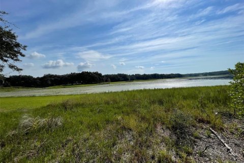 Land in Dunnellon, Florida № 1915048 - photo 1