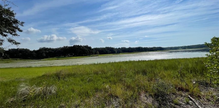 Terreno en Dunnellon, Florida № 1915048