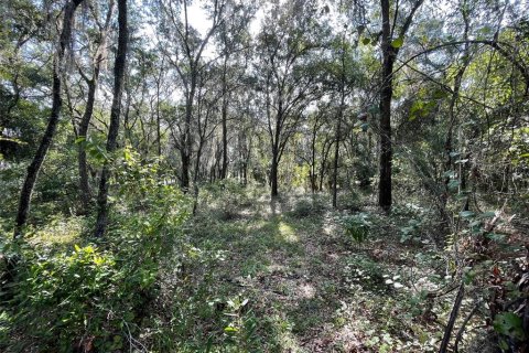 Land in Dunnellon, Florida № 1915048 - photo 6