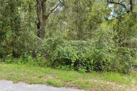 Land in Dunnellon, Florida № 1915048 - photo 9