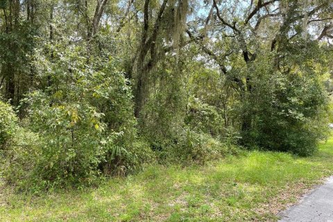 Land in Dunnellon, Florida № 1915048 - photo 13