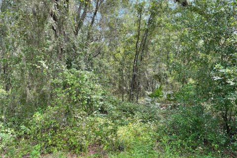 Land in Dunnellon, Florida № 1915048 - photo 11