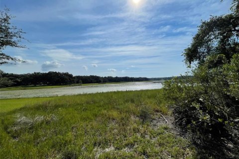 Land in Dunnellon, Florida № 1915048 - photo 2