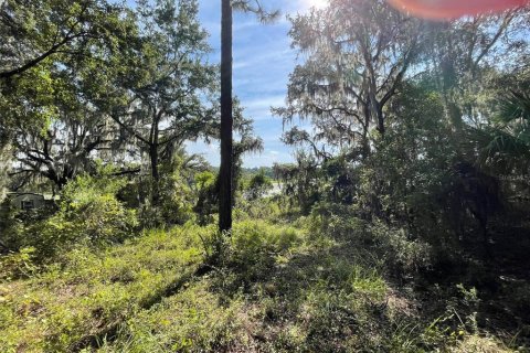 Land in Dunnellon, Florida № 1915048 - photo 5