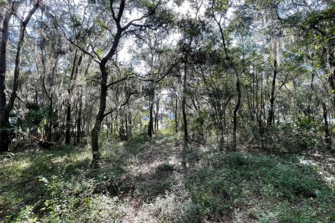 Land in Dunnellon, Florida № 1915048 - photo 7