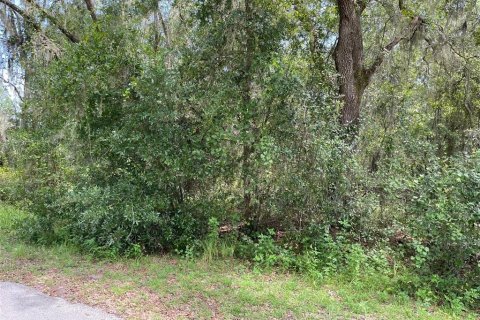 Land in Dunnellon, Florida № 1915048 - photo 10