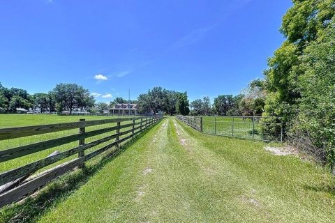 Land in Plant City, Florida № 1805181 - photo 3