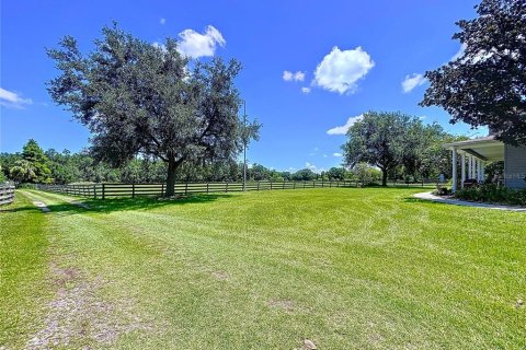 Land in Plant City, Florida № 1805181 - photo 4