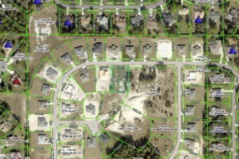 Land in Spring Hill, Florida № 1581914 - photo 6